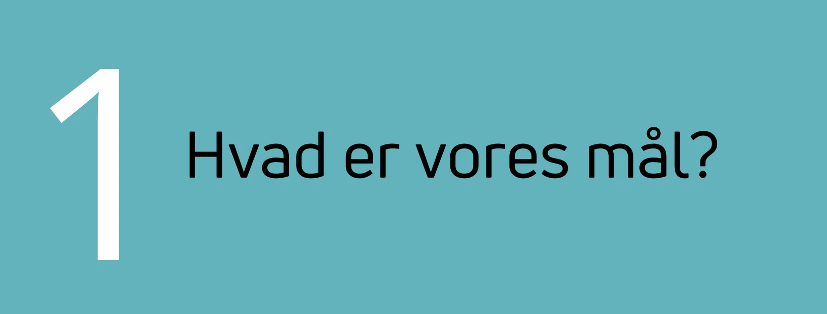 Hvad er vores mål?